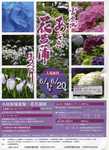20130609小田原城あじさい花菖蒲まつり443.jpg